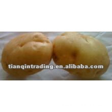 chinese potato supplier